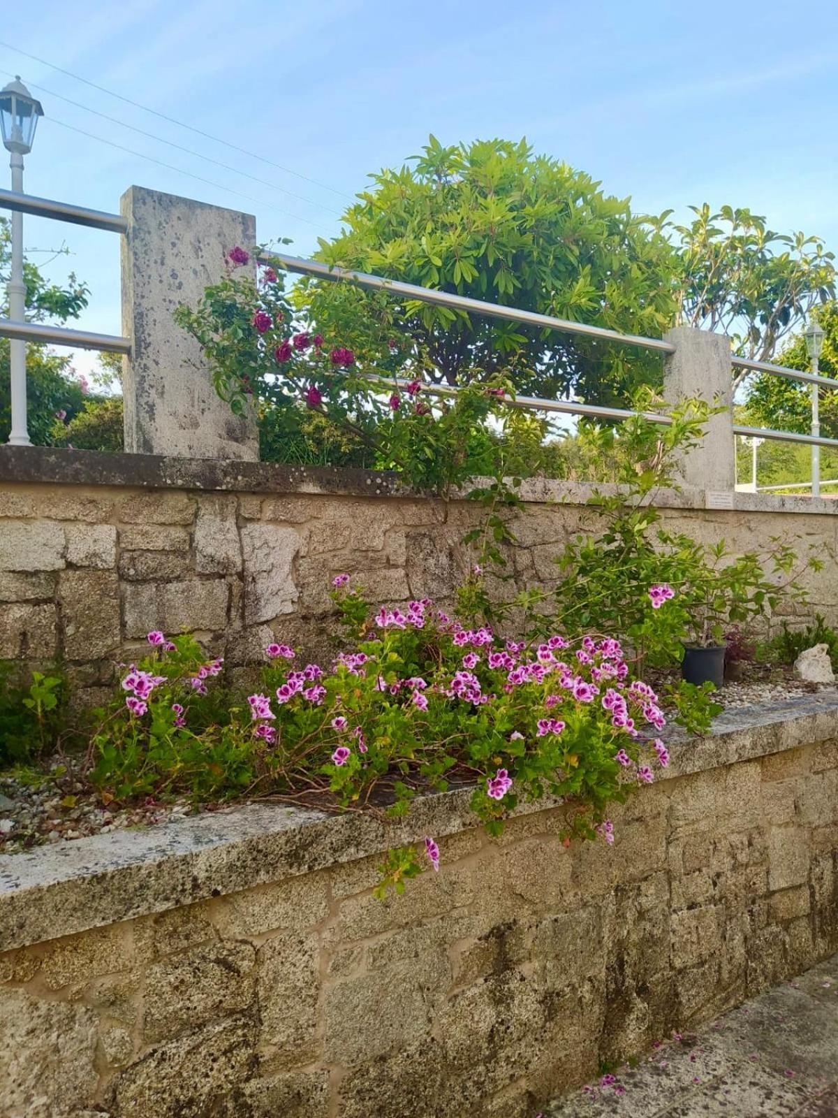 Apartamento Con Jardin Y Piscina Temporada Verano Privados Samieira Exterior foto